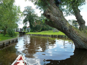 wetlands-Iamsterdam18